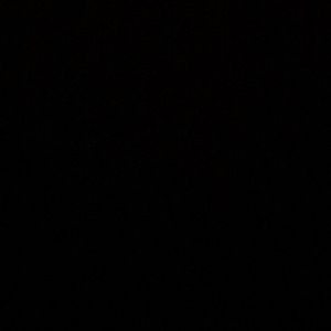 Meet your Posher, Isaiah